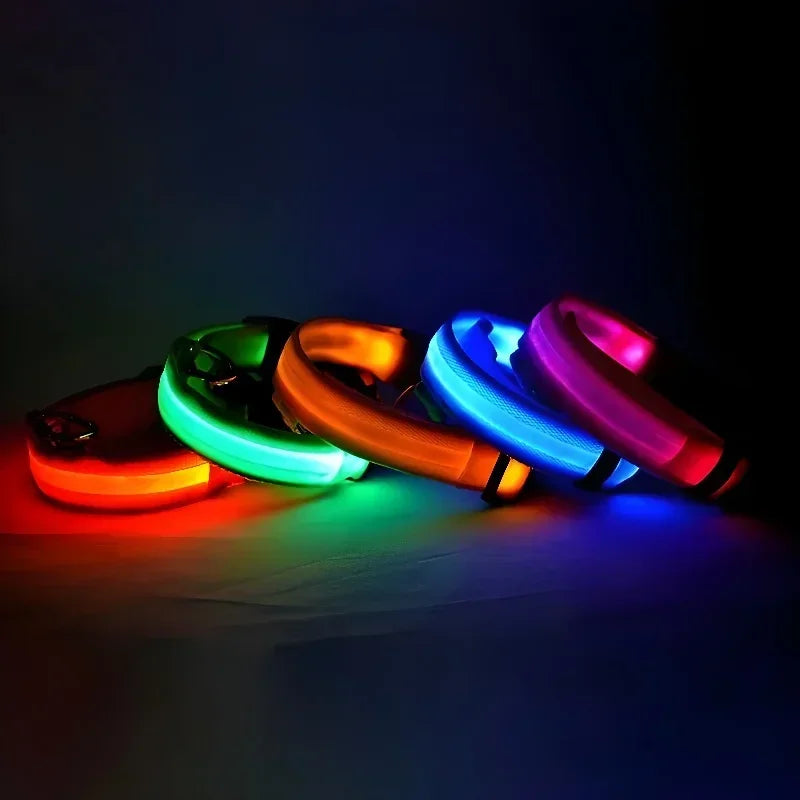 LED Hundhalsband i Nylon – Lysande & Reflekterande för Säkra Kvällspromenader