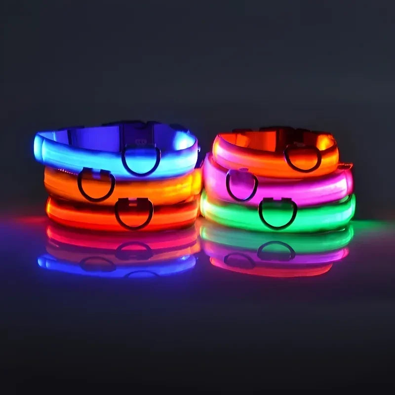 LED Hundhalsband i Nylon – Lysande & Reflekterande för Säkra Kvällspromenader