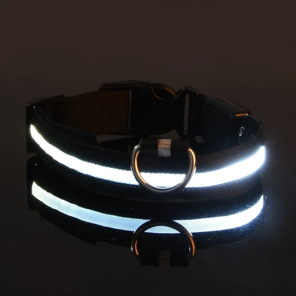 LED Hundhalsband i Nylon – Lysande & Reflekterande för Säkra Kvällspromenader