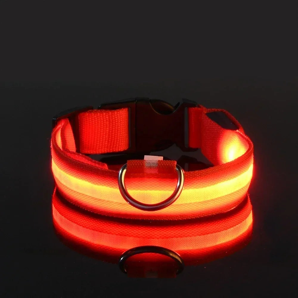 LED Hundhalsband i Nylon – Lysande & Reflekterande för Säkra Kvällspromenader