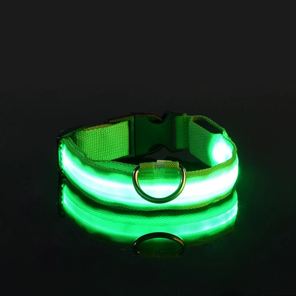 LED Hundhalsband i Nylon – Lysande & Reflekterande för Säkra Kvällspromenader